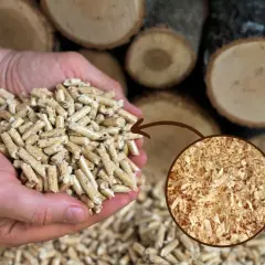 Ręce trzymające pellet drzewny, obok wióry. Pokazuje to proces, jak zrobić maszynę do pelletu z trocin.
