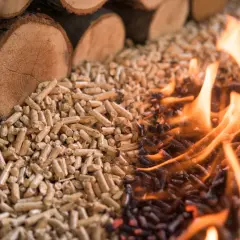 Jak wygląda idealny popiół z pelletu? Sprawdź swój kocioł!