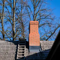 Ceglany komin na dachu, obok drabiny, na tle nagich drzew i błękitnego nieba.