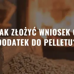 Jak złożyć wniosek o dodatek do pelletu? W tle płonący kominek i drewno.