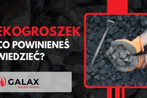 Ręce w rękawicach trzymają ekogroszek, który jest paliwem stałym. Dowiedz się z czego jest ekogroszek.