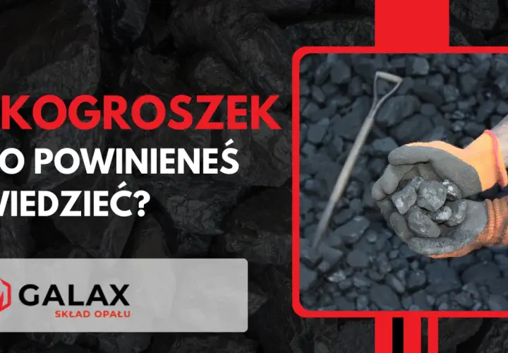 Ręce w rękawicach trzymają ekogroszek, który jest paliwem stałym. Dowiedz się z czego jest ekogroszek.