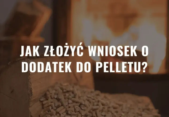 Jak złożyć wniosek o dodatek do pelletu? W tle płonący kominek i drewno.