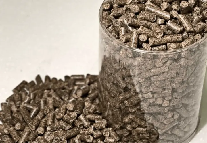Zbliżenie na pellet drzewny w przezroczystym pojemniku i rozsypany obok. Rozważasz, jak importować pellet z Ukrainy?