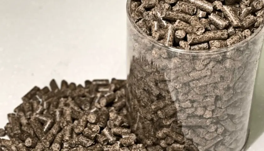Zbliżenie na pellet drzewny w przezroczystym pojemniku i rozsypany obok. Rozważasz, jak importować pellet z Ukrainy?