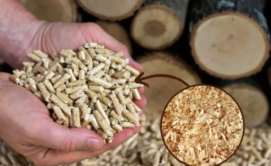 Jak zbudować peleciarkę DIY? Kompletny przewodnik krok po kroku