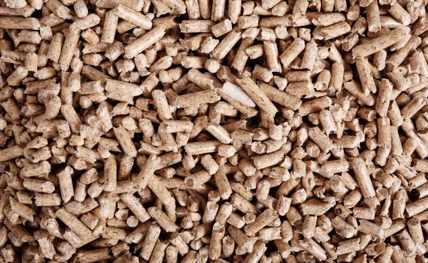 Pellet: co to jest? Poznaj zalety, wady i jakość paliwa